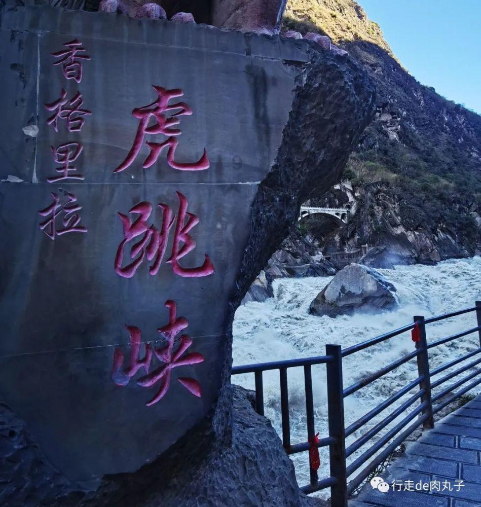 学习插花艺术