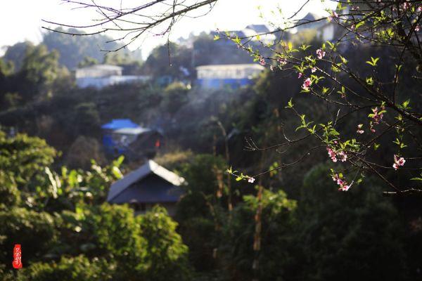 “以茶促融,共谋发展” 2024两岸(厦门)茶文化节暨乐享自贸年货消费节开幕