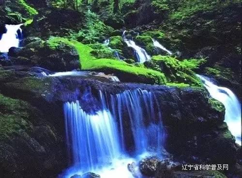 人生解答知乎图书《独立思考的孩子都在问》