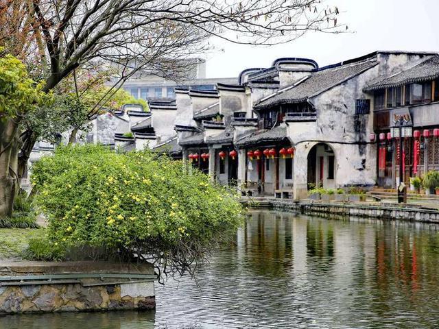 温州代表团继续审议省政府工作报告