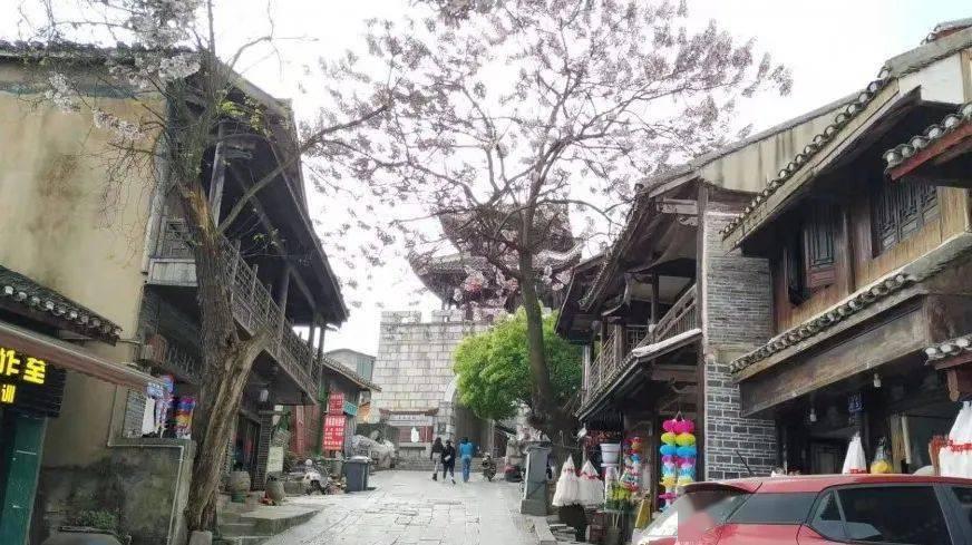 数额特别巨大！“韩某菲涉嫌诈骗案”，海口警方再次呼吁相关受害人尽快报案